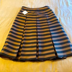 Lovely pleated skirt